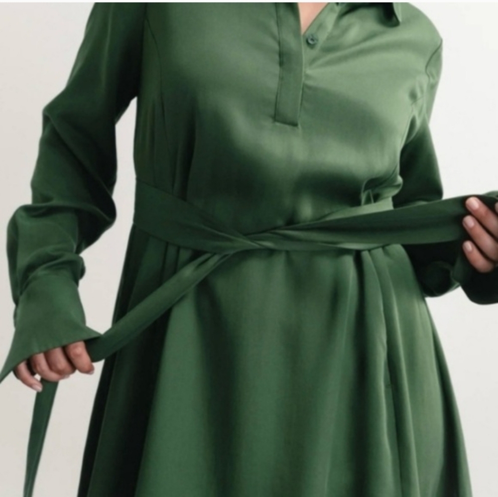 Darling Forrest Green Shirt Dress - Picture 4 of 13